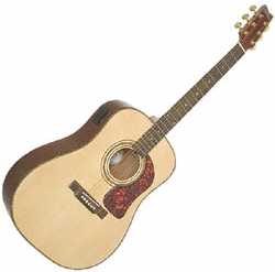Фотоий: надувательство гитары и другие аппаратуры шнура WASHBURN - WASHBURN ACUSTICA DK20T AMERICANA