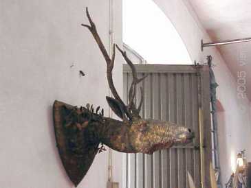 Фотоий: надувательство скульптуры другое - CABECA DE VENADO DE HIERRO UNICA