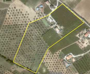 Фотоий: надувательство здания 2,000 m2