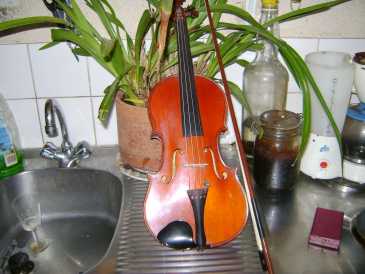 Фотоий: надувательство гитары и другие аппаратуры шнура THIBOUVILLE - VIOLON