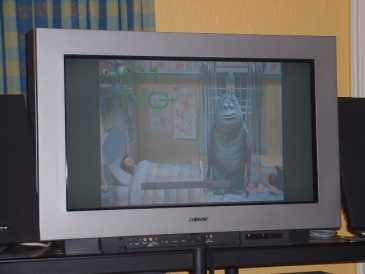 Фотоий: надувательство Tv 16/9 SONY - KV31FD1E
