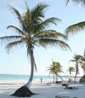 Фотоий: предлагает распродажаа старых вещей/сбывание ярда CAMBIAR VIDA - TULUM MEXICO