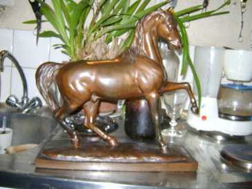 Фотоий: надувательство скульптуры бронза - CHEVAL BRONZE