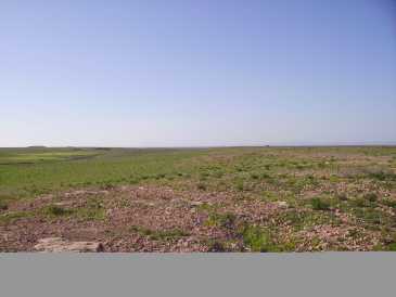 Фотоий: надувательство земля 3,000 m2