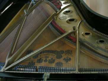 Фотоий: надувательство рояли и synthetizers STEINWAY & SONS - PIANOFORTE A CODA STEINWAY & SONS MOD C