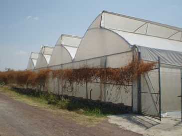 Фотоий: надувательство дом 360 m2
