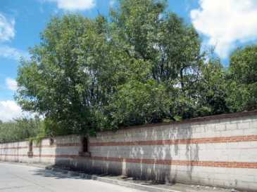 Фотоий: надувательство земля 300 m2
