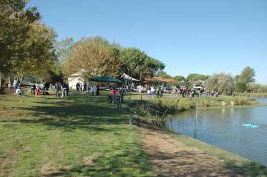 Фотоий: предлагает фиеста ESPOSIZIONE CANINA - LAGO VERDE LOC. BUFALINA TORRE DEL LAGO (LU)