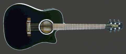 Фотоий: надувательство гитары и другие аппаратуры шнура TAKAMINE - TAKAMINE EG531SC