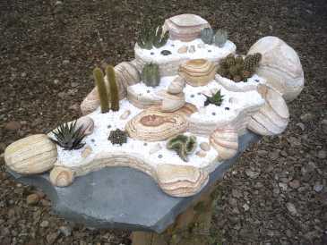 Фотоий: надувательство раковины, ископаемые и камни JARDIN EXOTIQUE ARIDE MEXICAIN DE SALON.PIECE UNIQ