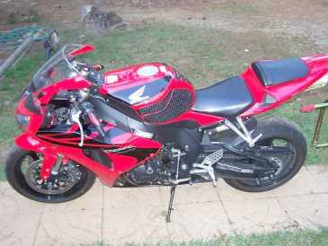 Фотоий: надувательство мотовелосипеды 900 cc - HONDA - CBR RR FIRE BLADE