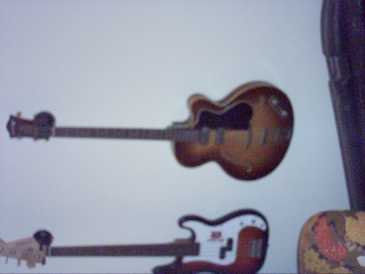 Фотоий: надувательство гитары и другие аппаратуры шнура HOFNER - HOFNER