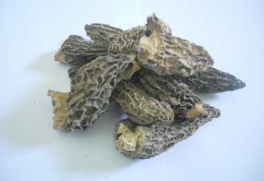 Фотоий: надувательство другие MORILLES