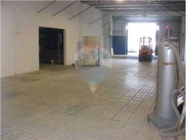 Фотоий: надувательство другие 880 m2