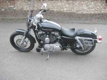 Фотоий: надувательство мотовелосипеды 1200 cc - HARLEY-DAVIDSON - SPORTSTER CUSTOM