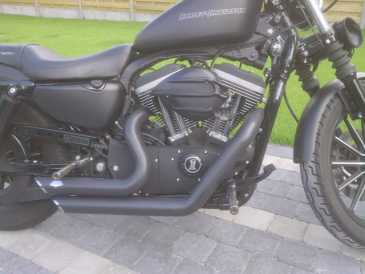 Фотоий: надувательство мотовелосипеды 1200 cc - HARLEY-DAVIDSON - SPORTSTER