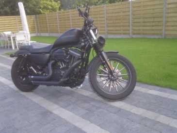 Фотоий: надувательство мотовелосипеды 1200 cc - HARLEY-DAVIDSON - SPORTSTER