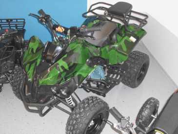 Фотоий: надувательство мотовелосипеды 125 cc - QUAD - 2011