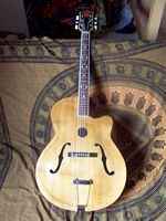 Фотоий: надувательство гитары и другие аппаратуры шнура FASAN - ARCHTOP JAZZ MANOUCHE