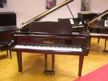 Фотоий: надувательство рояли и synthetizers RAMEAU