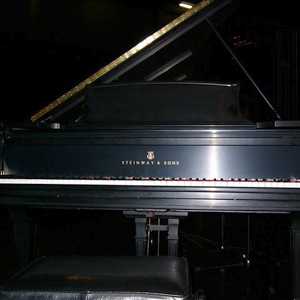 Фотоий: надувательство рояли и synthetizers STEINWAY - DE CONCERT MODELE D