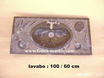 Фотоий: надувательство украшение LAVABO EN MARBRE FOSSILISE - LAVABO EN MARBRE FOSSILISE