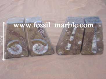 Фотоий: надувательство украшение BOOKENDS FOSSILS AND FOSSILIZED MARBLE RISSANI - BOOKENDS FOSSILS AND FOSSILIZED MARBLE ERFOUD