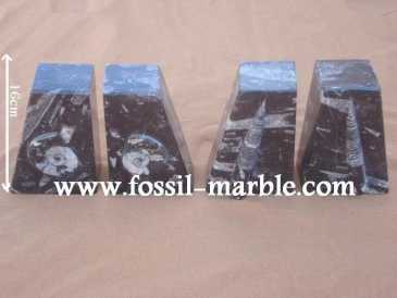Фотоий: надувательство украшение BOOKENDS FOSSILS AND FOSSILIZED MARBLE RISSANI - BOOKENDS FOSSILS AND FOSSILIZED MARBLE ERFOUD