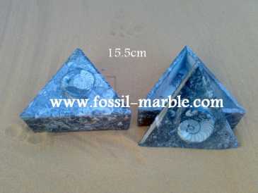Фотоий: надувательство украшение BOITE EN MARBRE FOSSILISE AVEC NATURAL FOSSILS - BOITE EN MARBRE FOSSILISE AVEC NATURAL FOSSILES