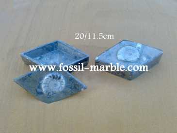 Фотоий: надувательство украшение BOITE EN MARBRE FOSSILISE AVEC NATURAL FOSSILS - BOITE EN MARBRE FOSSILISE AVEC NATURAL FOSSILES