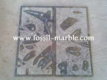 Фотоий: надувательство украшение SLAB FOSSILS - SLAB FOSSILS ERFOUD RISSANI