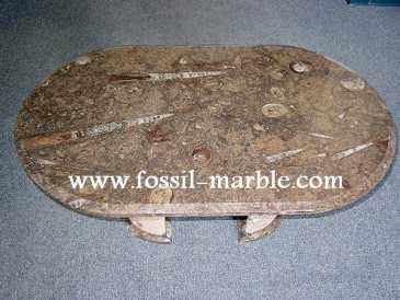 Фотоий: надувательство украшение BROWN SLAB FOSSILS - BROWN SLAB FOSSILS MOROCCO