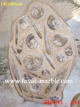 Фотоий: надувательство украшение PLAQUE EN NATURAL MARBRE FOSSILISE - PLAQUES EN MARBRE FOSSILISE
