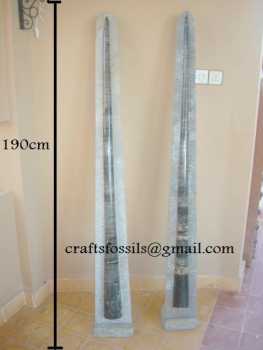 Фотоий: надувательство украшение FOSSILES ORTHOCERAS NATURAL - FOSSILES ORTHOCERAS NATURAL