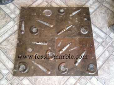 Фотоий: надувательство украшение BROWN FOSSILIZED MARBLE MOROCCO - BROWN FOSSILIZED MARBLE MOROCCO