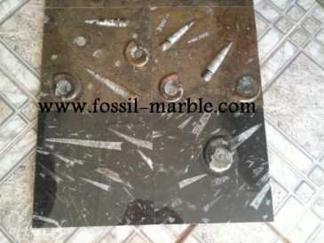 Фотоий: надувательство украшение BLACK SLAB FOSSILIZED MARBLE MOROCCO - BLACK FOSSILIZED MARBLE MOROCCO