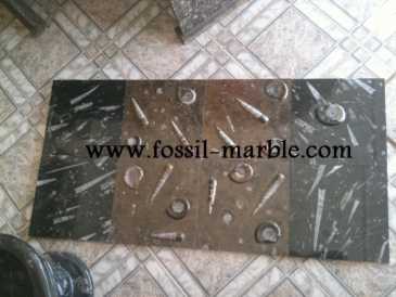Фотоий: надувательство украшение BLACK SLAB FOSSILIZED MARBLE MOROCCO - BLACK FOSSILIZED MARBLE MOROCCO