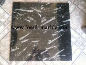 Фотоий: надувательство украшение SLAB FOSSILIZED MARBLE MOROCCO - SLAB FOSSILIZED MARBLE MOROCCO