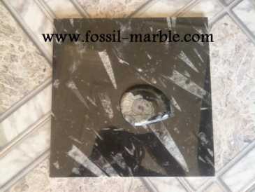 Фотоий: надувательство украшение SLAB FOSSILIZED MARBLE MOROCCO - SLAB FOSSILIZED MARBLE MOROCCO