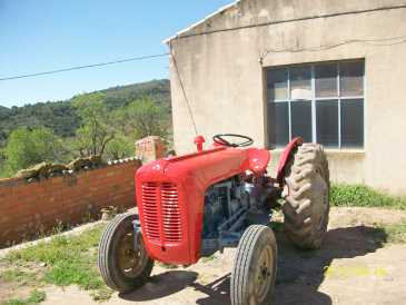 Фотоий: надувательство аграрные корабли MASSEY FERGUSON - MASSEY FERGUSON 35X