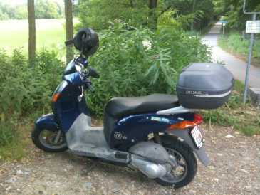 Фотоий: надувательство Scooters 125 cc - HONDA - HONDA