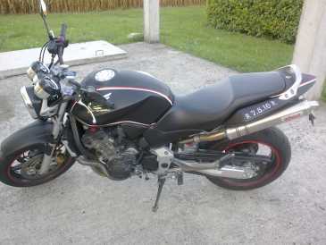 Фотоий: надувательство мотовелосипеды 900 cc - HONDA - CB HORNET