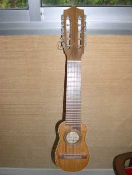 Фотоий: надувательство гитары и другие аппаратуры шнура ARTISAN WORK - 10 STRING MANDOLIN