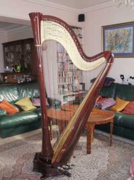 Фотоий: надувательство гитары и другие аппаратуры шнура HARPE DE CONCERT - HARPE DE CONCERT