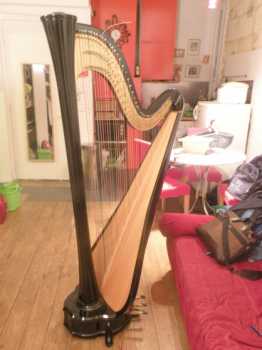 Фотоий: надувательство другие HARPE AURORA SALVI - SALVI