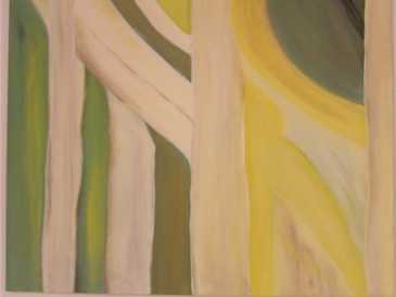Фотоий: надувательство картины и чертежи AMO MATISSE