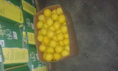 Фотоий: надувательство другие LIMON ARGENTINA