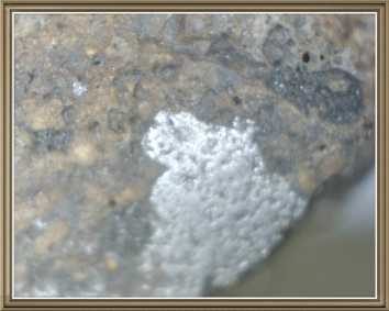 Фотоий: надувательство раковины, ископаемые и камни STEIN METEORITE