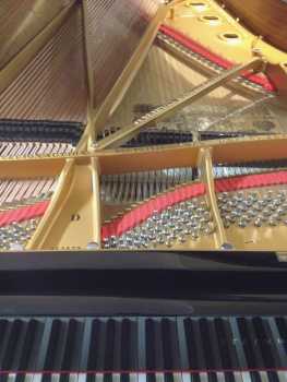 Фотоий: надувательство рояли и synthetizers STEINWAY & SONS - MODELLO D