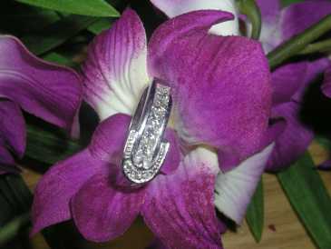Фотоий: надувательство Jewels женщины